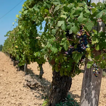 Nel Cuore Del Monferrato Appartement *